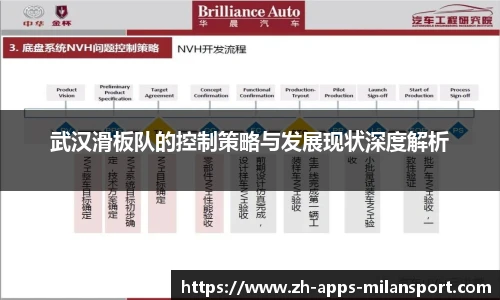 武汉滑板队的控制策略与发展现状深度解析